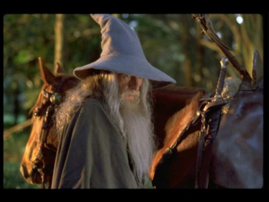 gandalf&horse.jpg