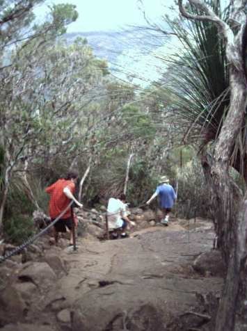 mt warning2002.jpg