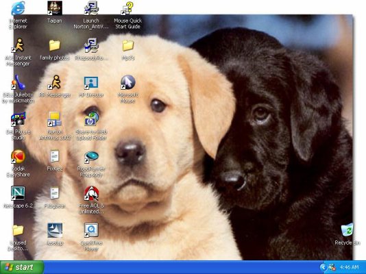 desktopdoggie.jpg