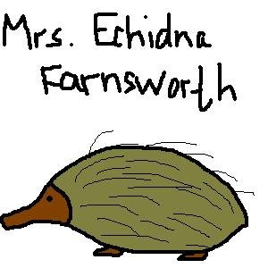 echidna.jpg