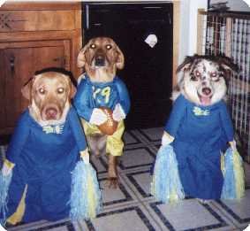 halloween2000.jpg