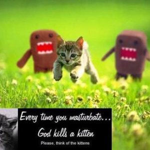 God Kills Kitten