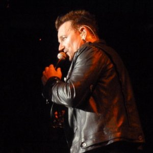 Bono COBL shadeless