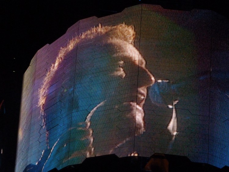 Bono shadeless MLK
