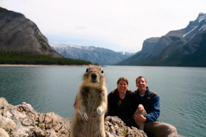 national-geographic-vacation-squirrel.jpg