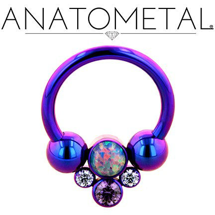 anatometal-titanium-circular-barbell-with-cluster-bead-23171.jpg