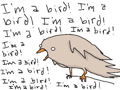 bird.png