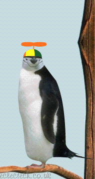 penguinfly.gif