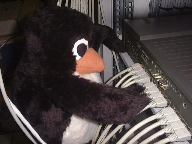 evil-penguin-rewires-the-net.jpg