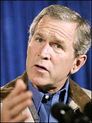 26cnd-bush.1.jpg