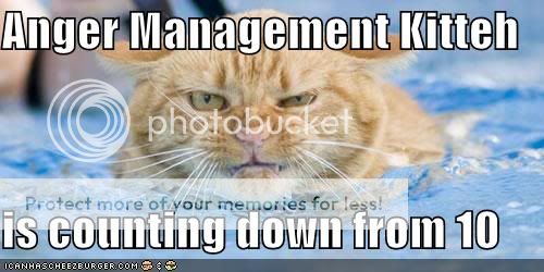 lolcats-funny-pictures-angermanagem.jpg