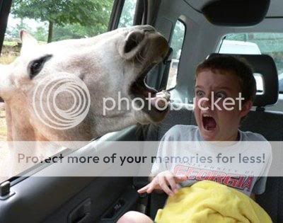 kid-loves-animals.jpg