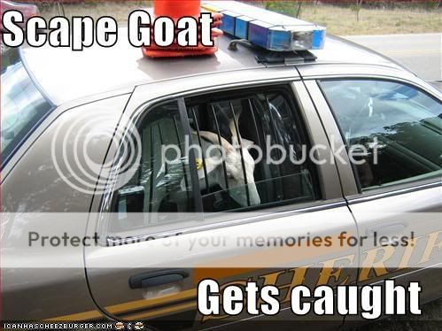 funny-pictures-the-scape-goat-gets-.jpg
