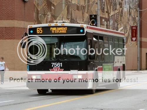 bus.jpg