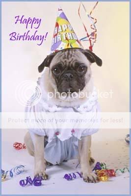 BirthdayPug.jpg