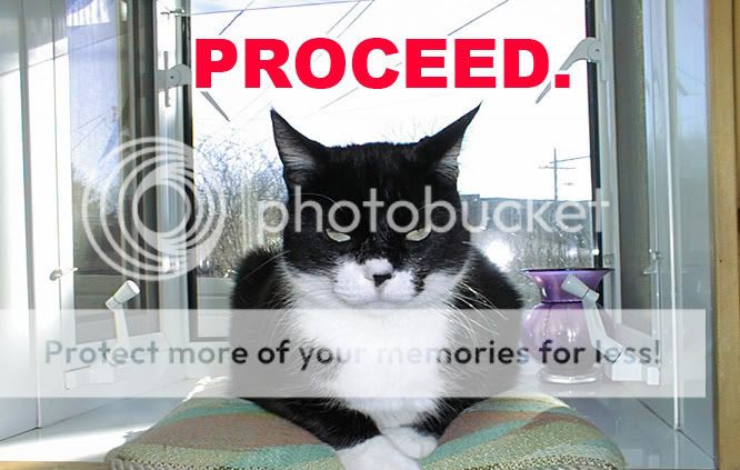 catproceed.jpg