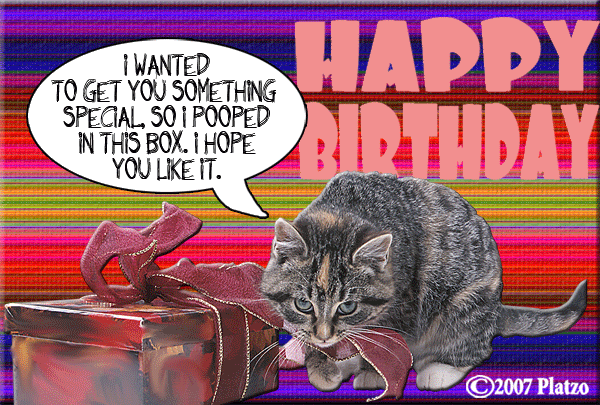 birthday-cat.gif