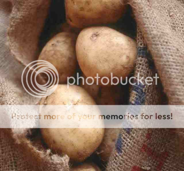 Potatoes2001.jpg