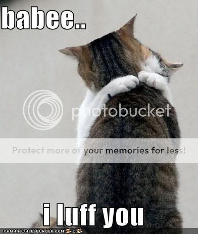 lolcats-funny-picture-baby-i-love-y.jpg