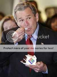 bushcake.jpg