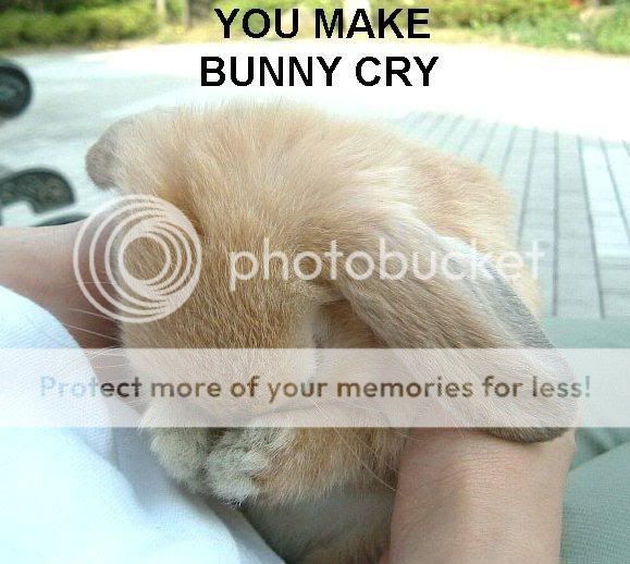 you-make-bunny-cry.jpg