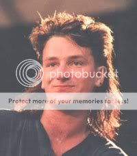 bono_mullet-717961.jpg