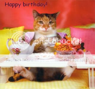 funny-cat-bday2.jpg