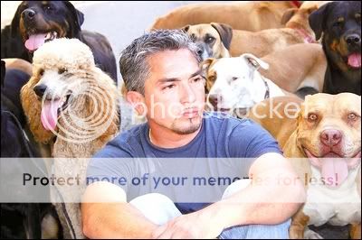 cesarmillan.jpg