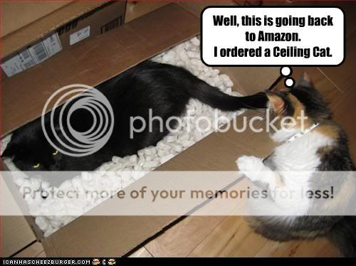 funny-pictures-cat-orders-cat-on-in.jpg