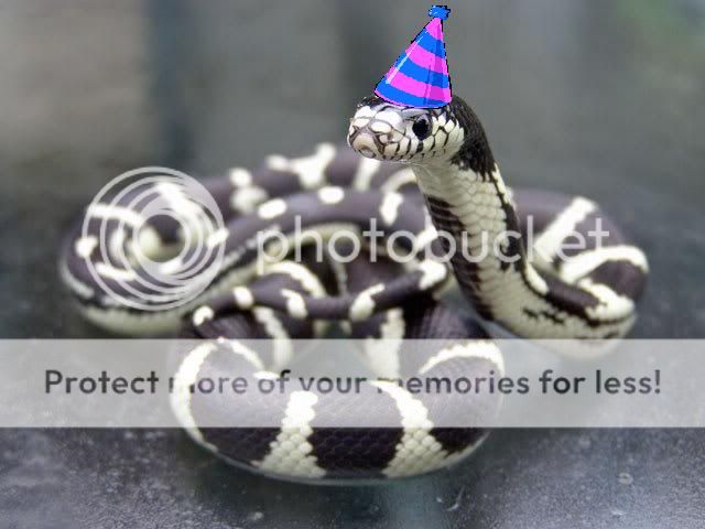 snakeysnake.jpg