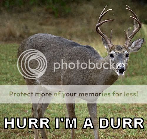 Hurr-Im-A-Durr.jpg