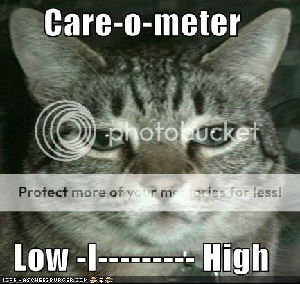 funny-pictures-care-o-meter-cat.jpg
