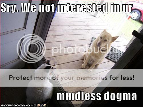 funny-pictures-cat-greets-dog-at-do.jpg