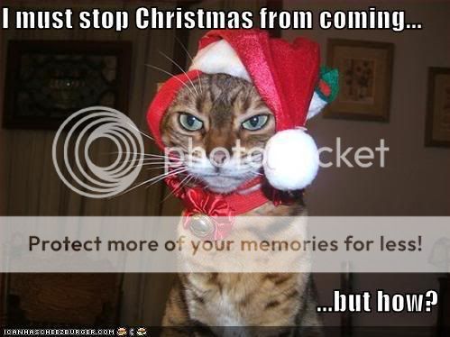 funny-pictures-cat-stops-christmas.jpg