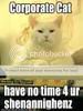 funny-pictures-corporate-cat.jpg