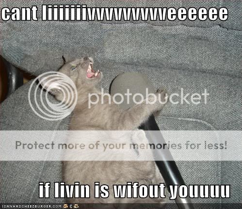 funny-pictures-karaoke-cat.jpg