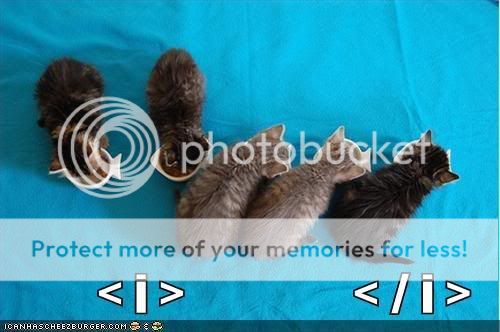 funny-pictures-kittens-code.jpg