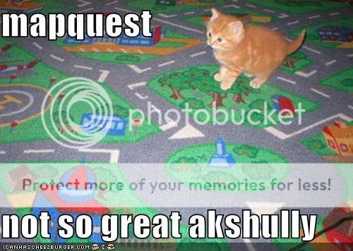 funny-pictures-mapquest-kitten1.jpg