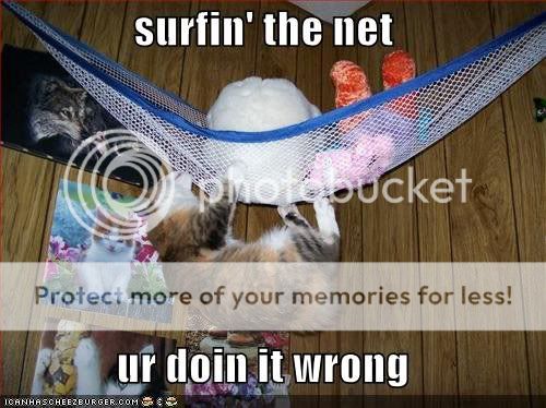 surfinthenet.jpg