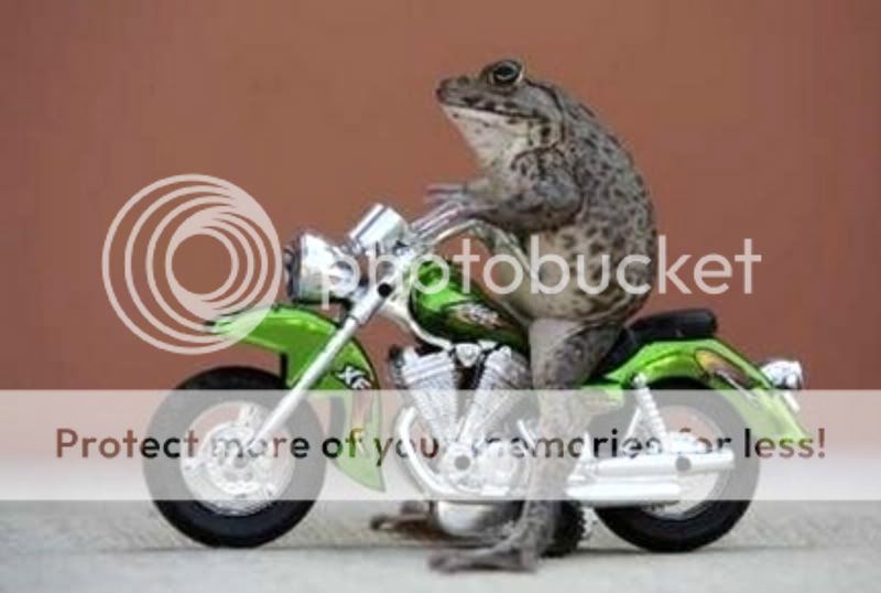 bikerfrog.jpg