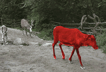 RudolphTheRed2.gif