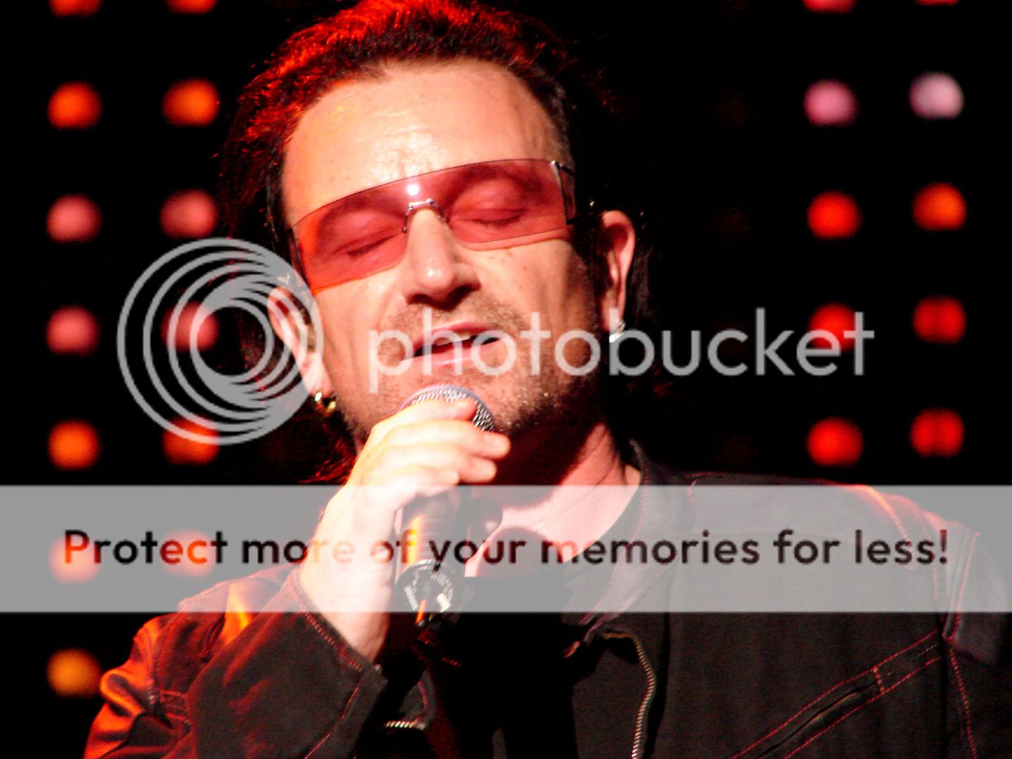 Bono_cute_ears.jpg
