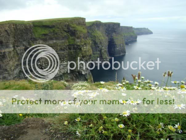 063009Cliffs-of-MoherDaisies.jpg