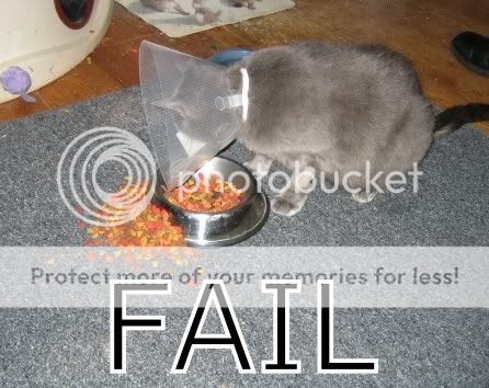 fail-1.jpg