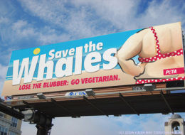 s-SAVE-THE-WHALES-large.jpg