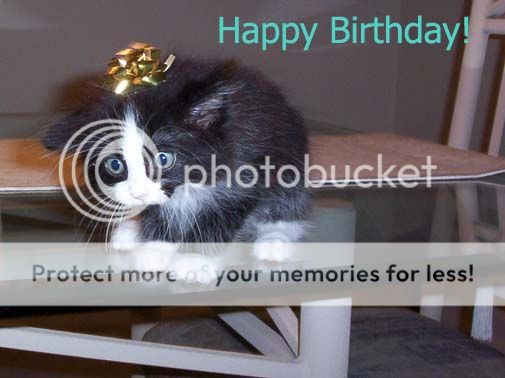 kitty_birthday.jpg