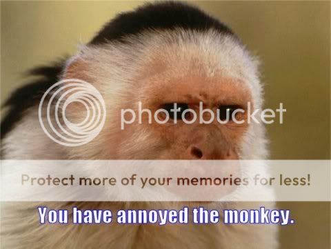 you-have-annoyed-monkey.jpg