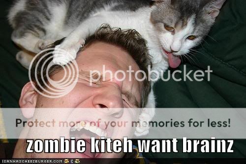 funny-pictures-zombie-kitten-cat.jpg