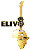 eliv8_3_avatar.gif