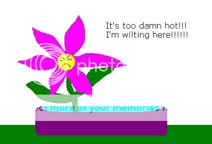 flowertub.jpg